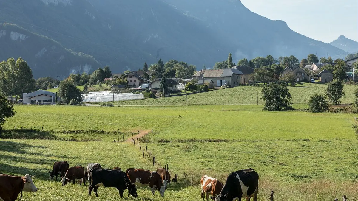 Sous Mollard