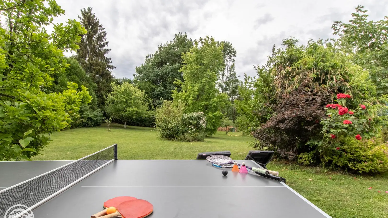 une partie de pingpong ?