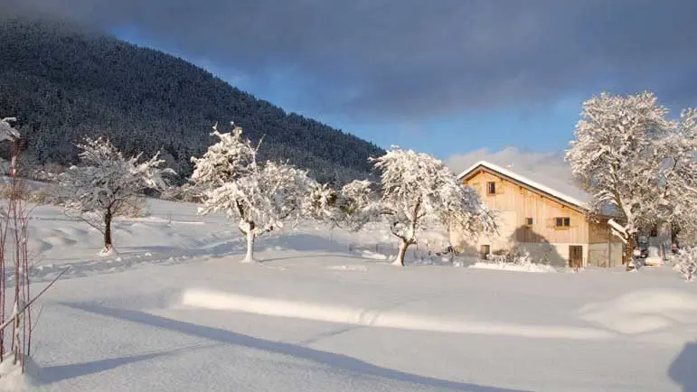 Lanchettes  + Rochettes