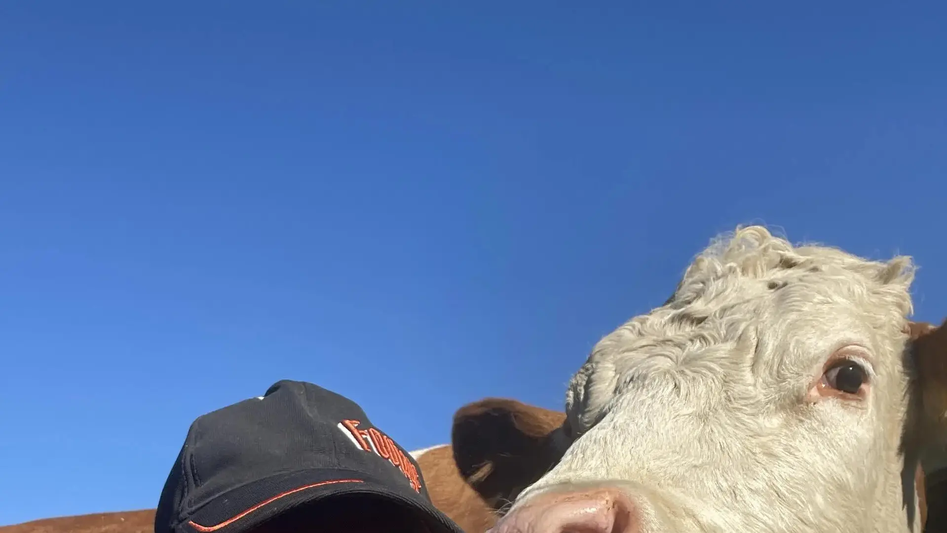 Le producteur en tenue d’éleveur souriant à côté d’une vache.