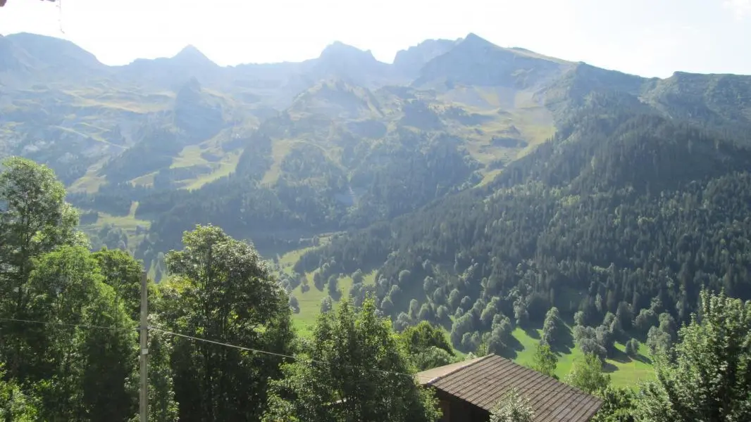 Depuis la terrasse en été
