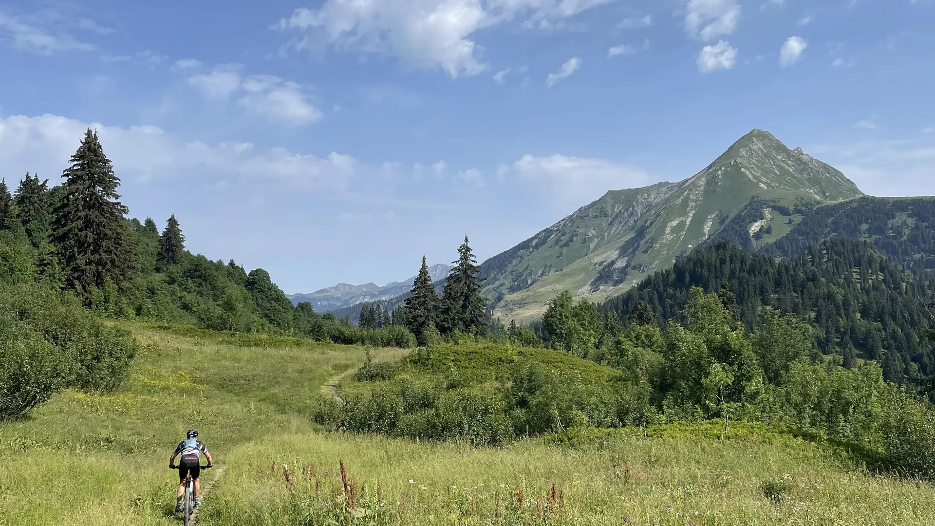 Vue été