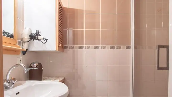 La salle d'eau, douche et lavabo