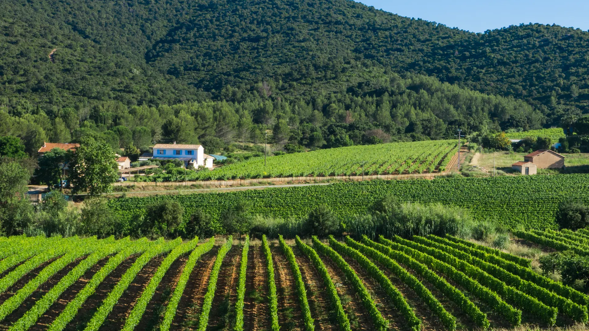 Domaine les trois chenes hyeres LES BORRELS