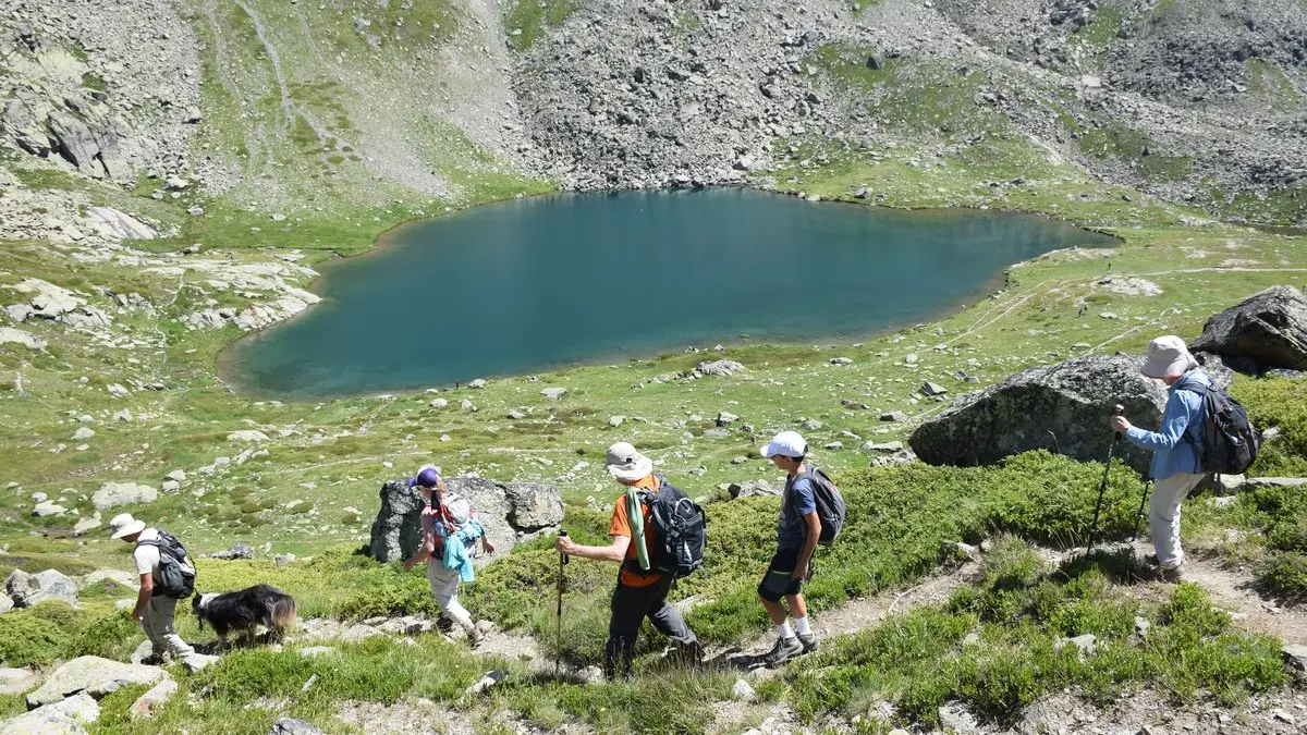 stage botanique flore alpine en Clarée