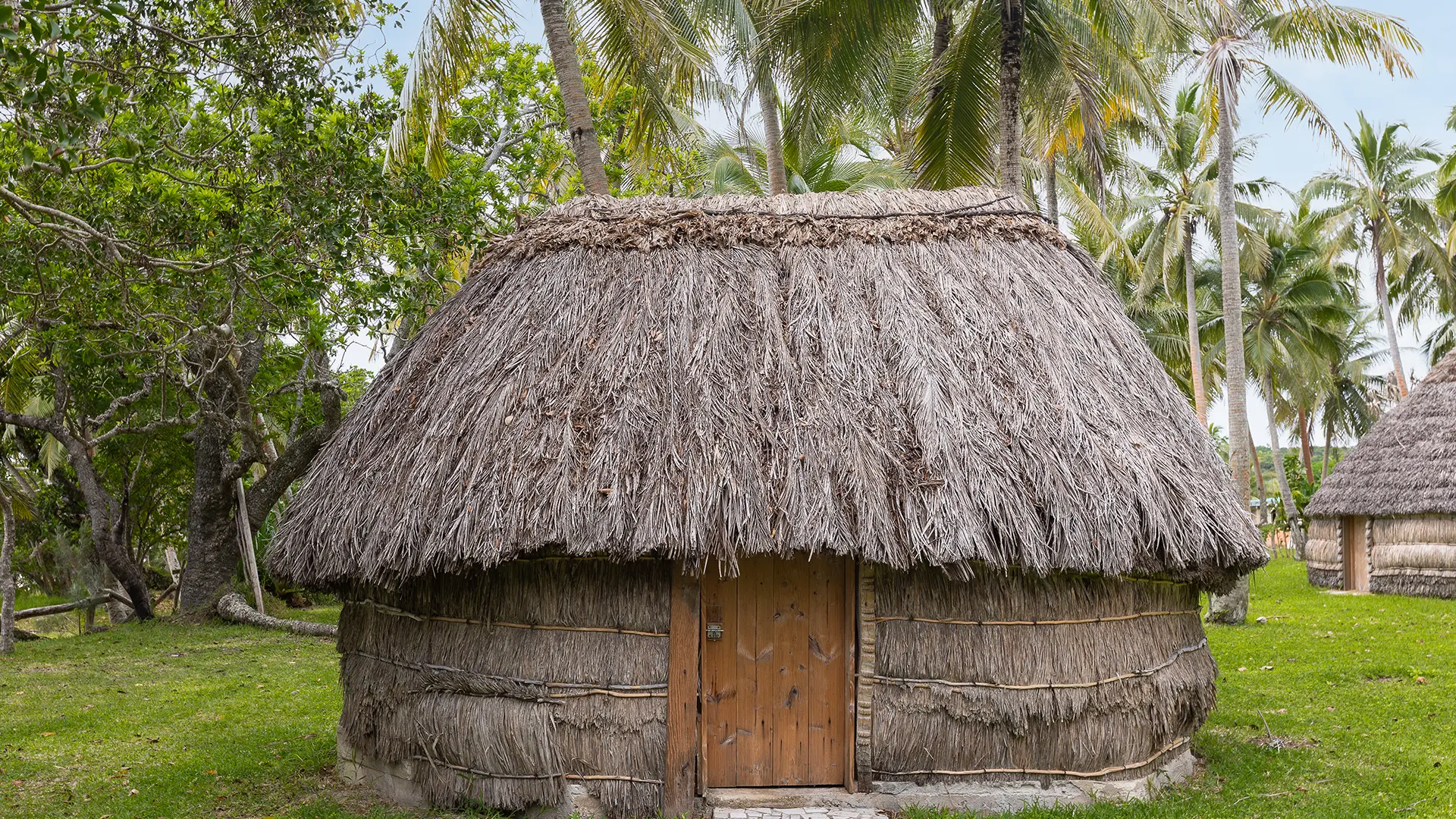 Thatched hut