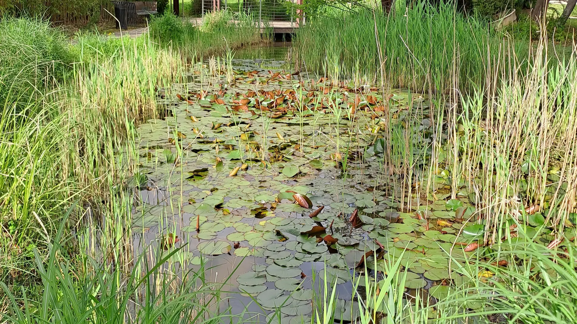 Jardin Pagès_La Farlède