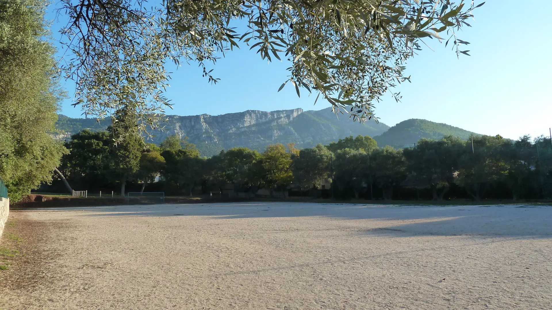 terrain
