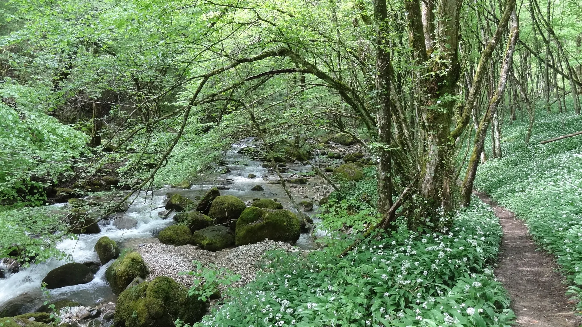 Rives de la Doria
