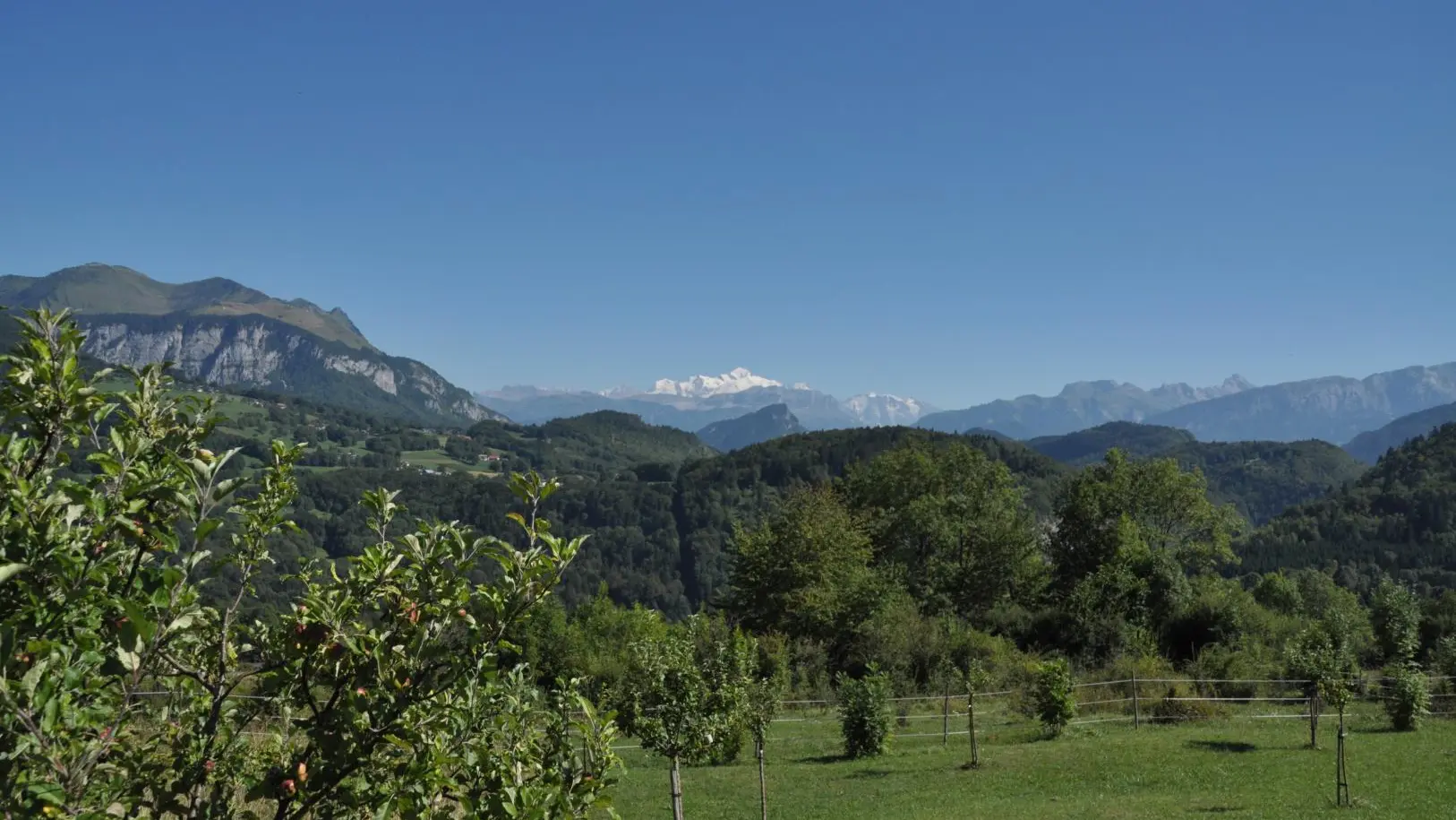Vue du jardin, en plein été