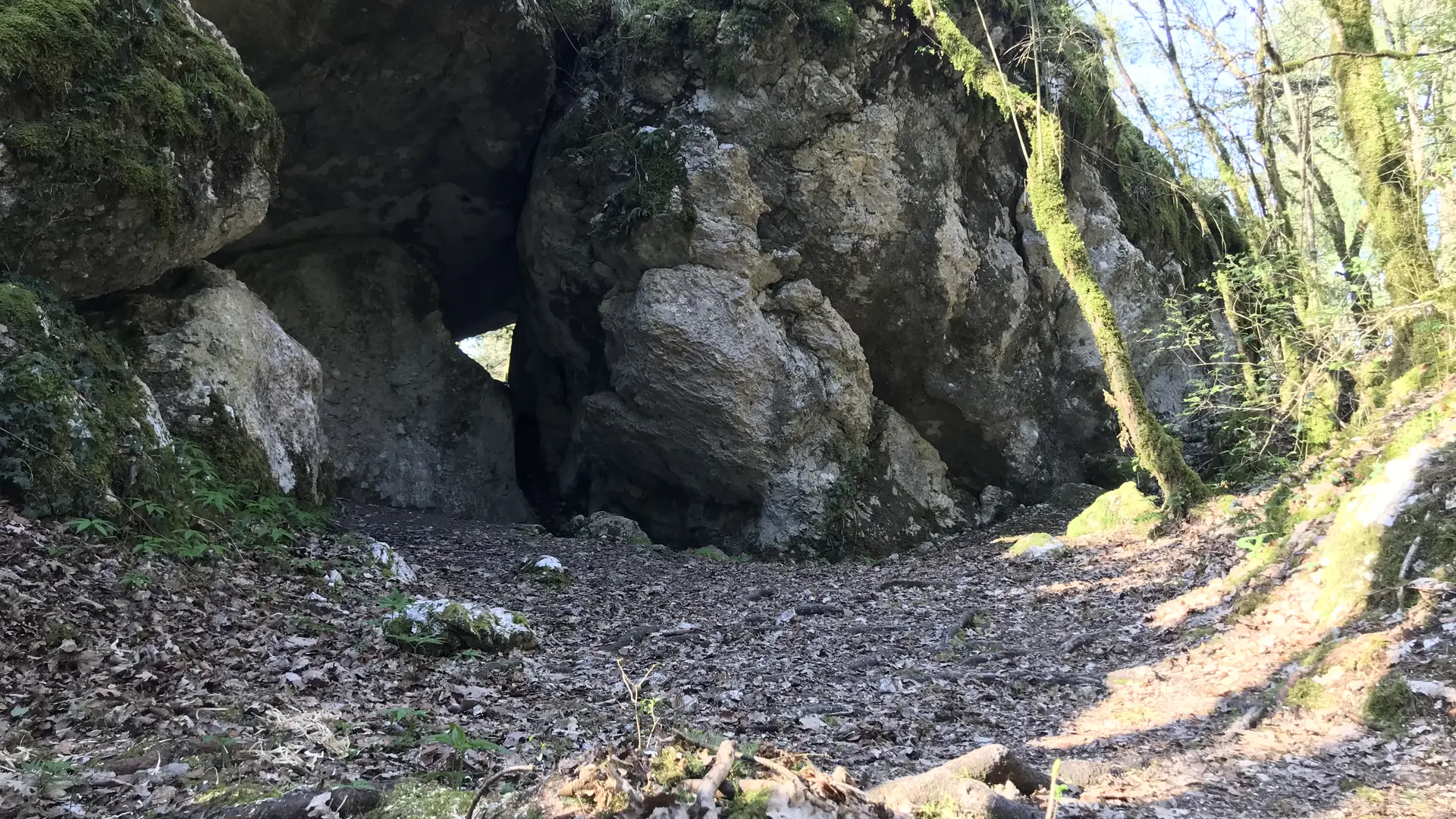 La Grotte du loup