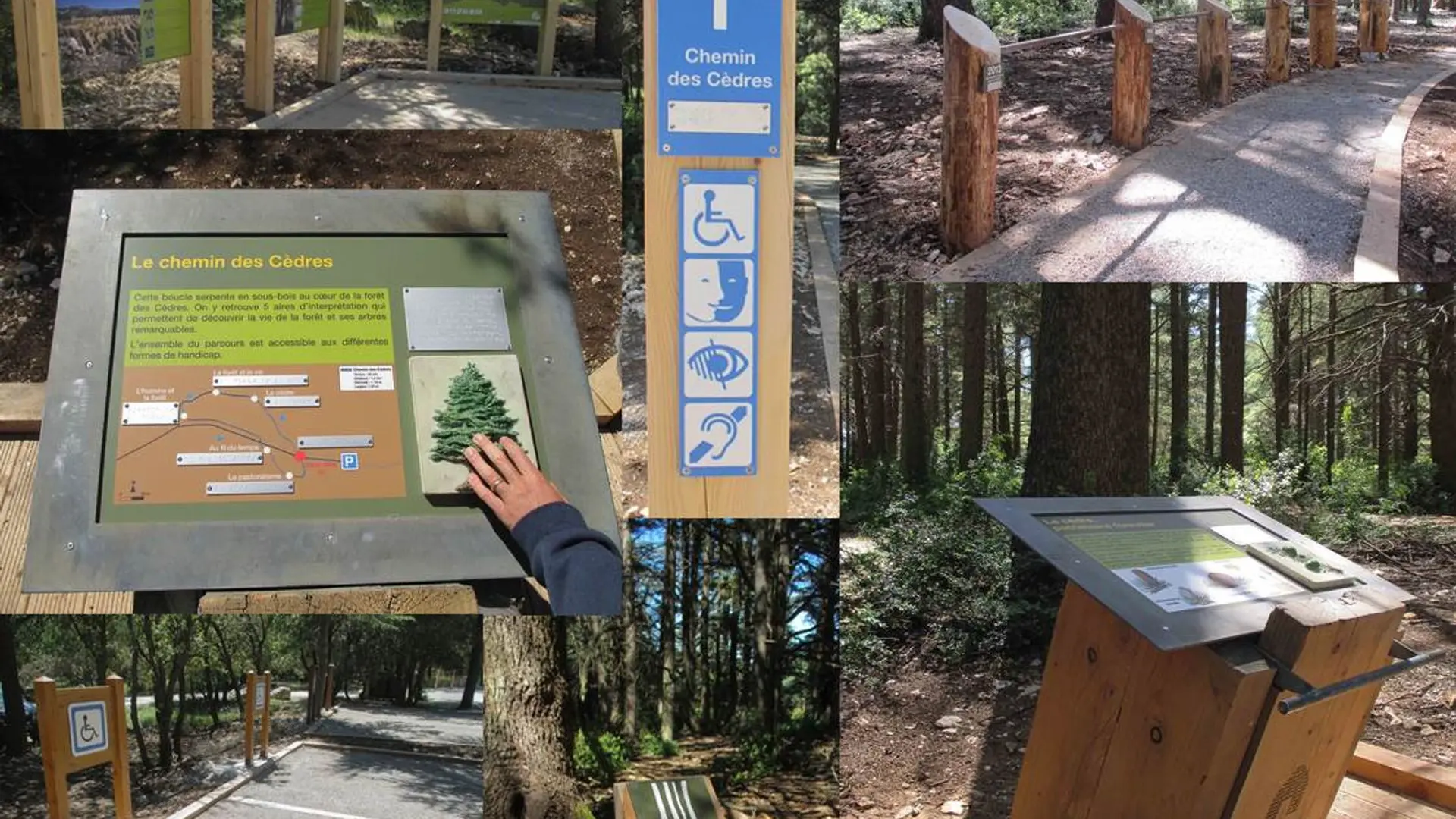 Chemin des cèdres, labellisé Tourisme Handicap
