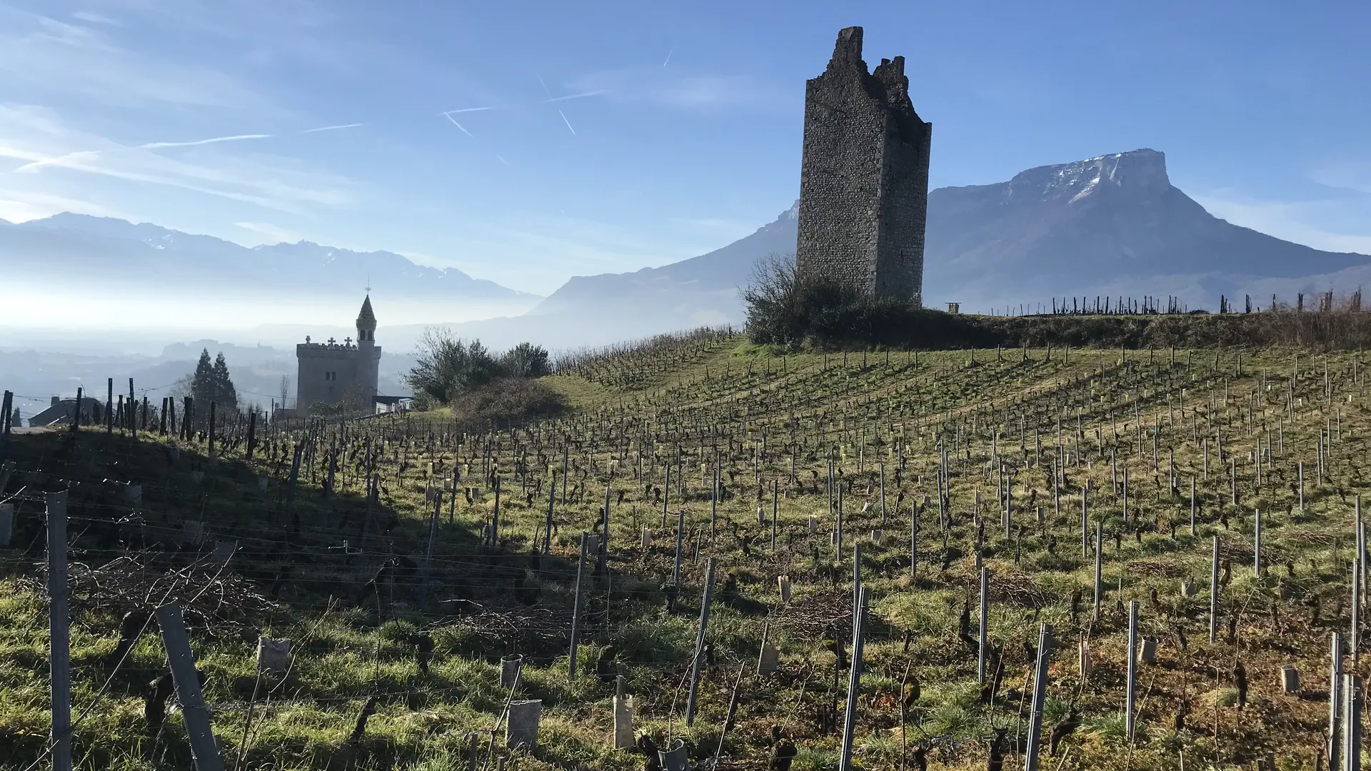 Chignin vignoble de Savoie