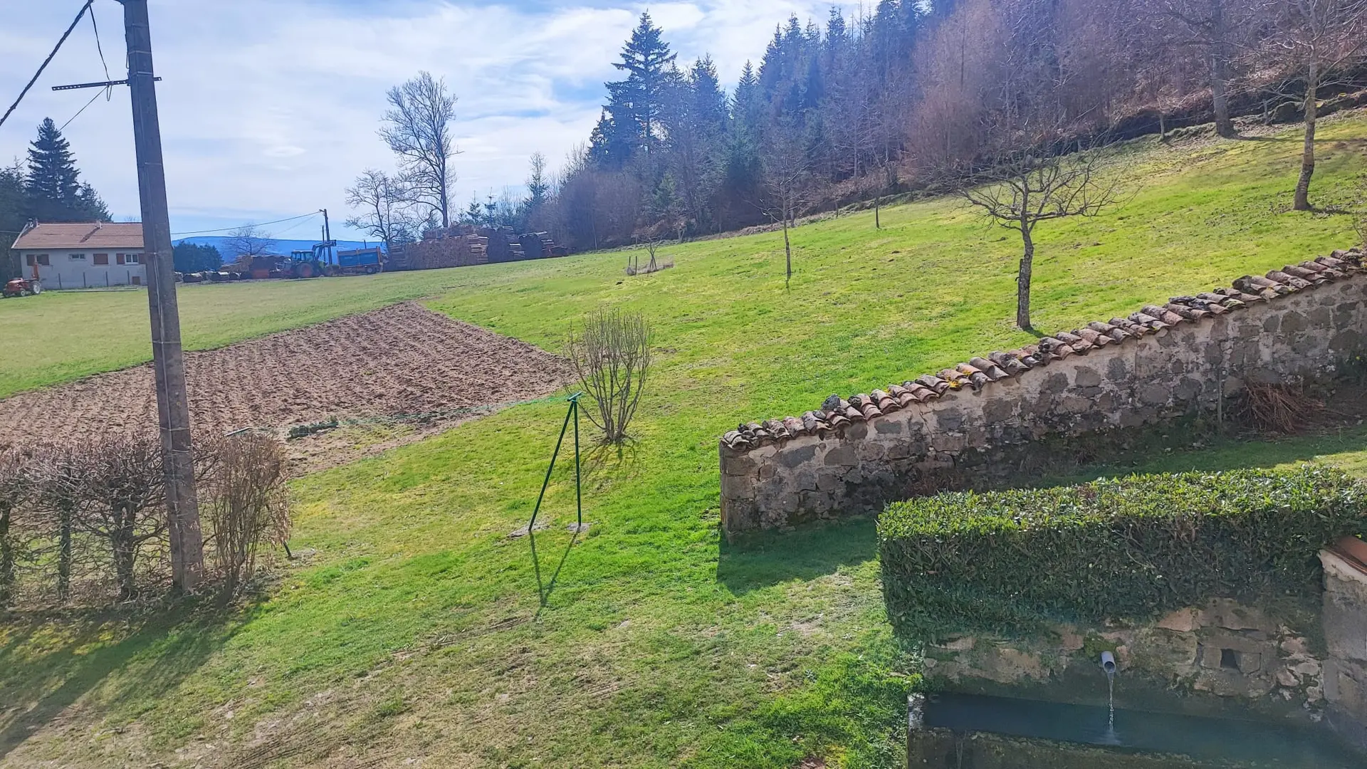 Jardin
