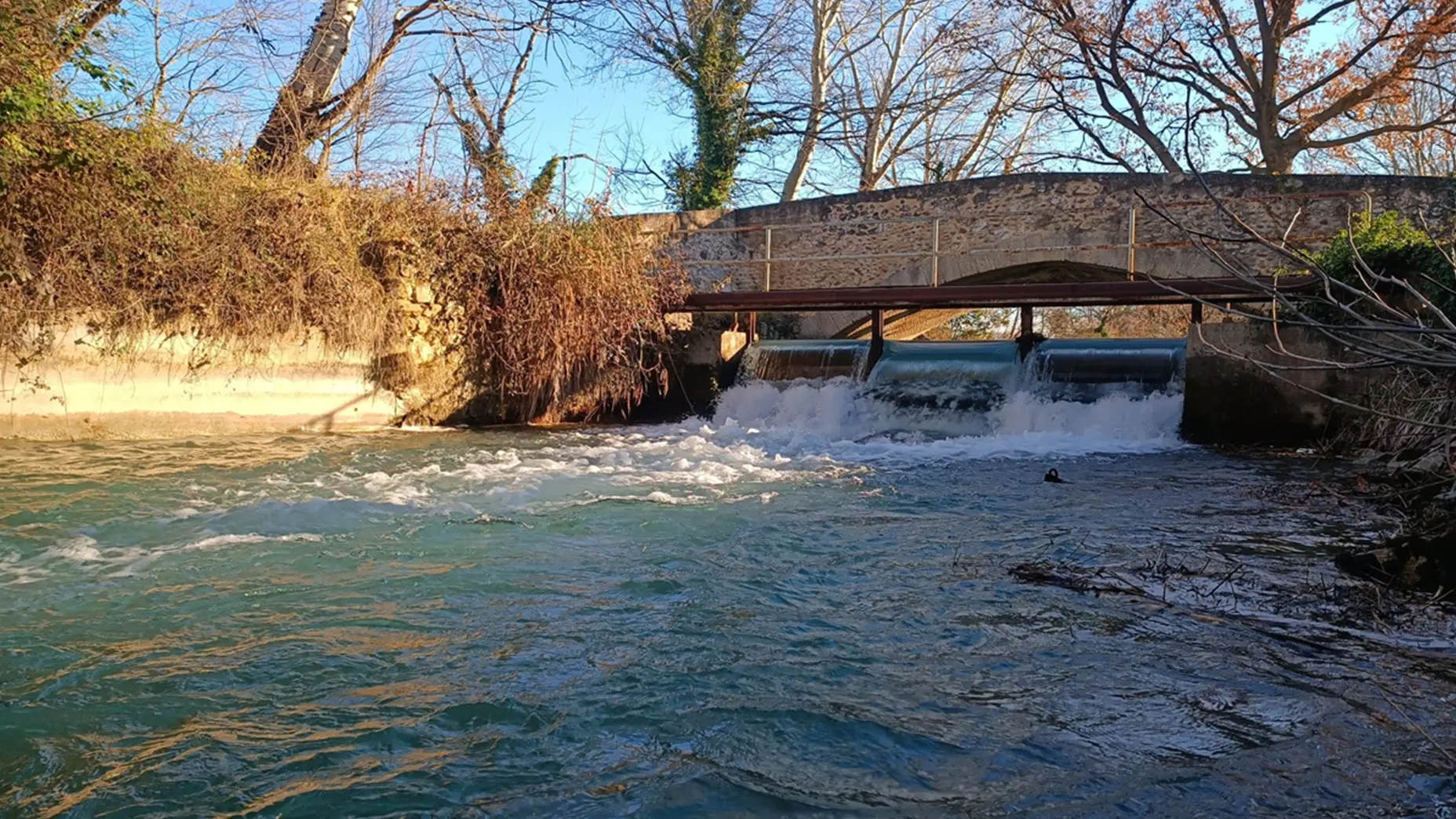 Le canal des Alpines_Mas-Blanc-des-Alpilles