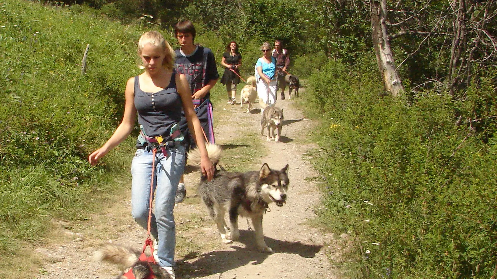 cani-balade en clarée rando nature