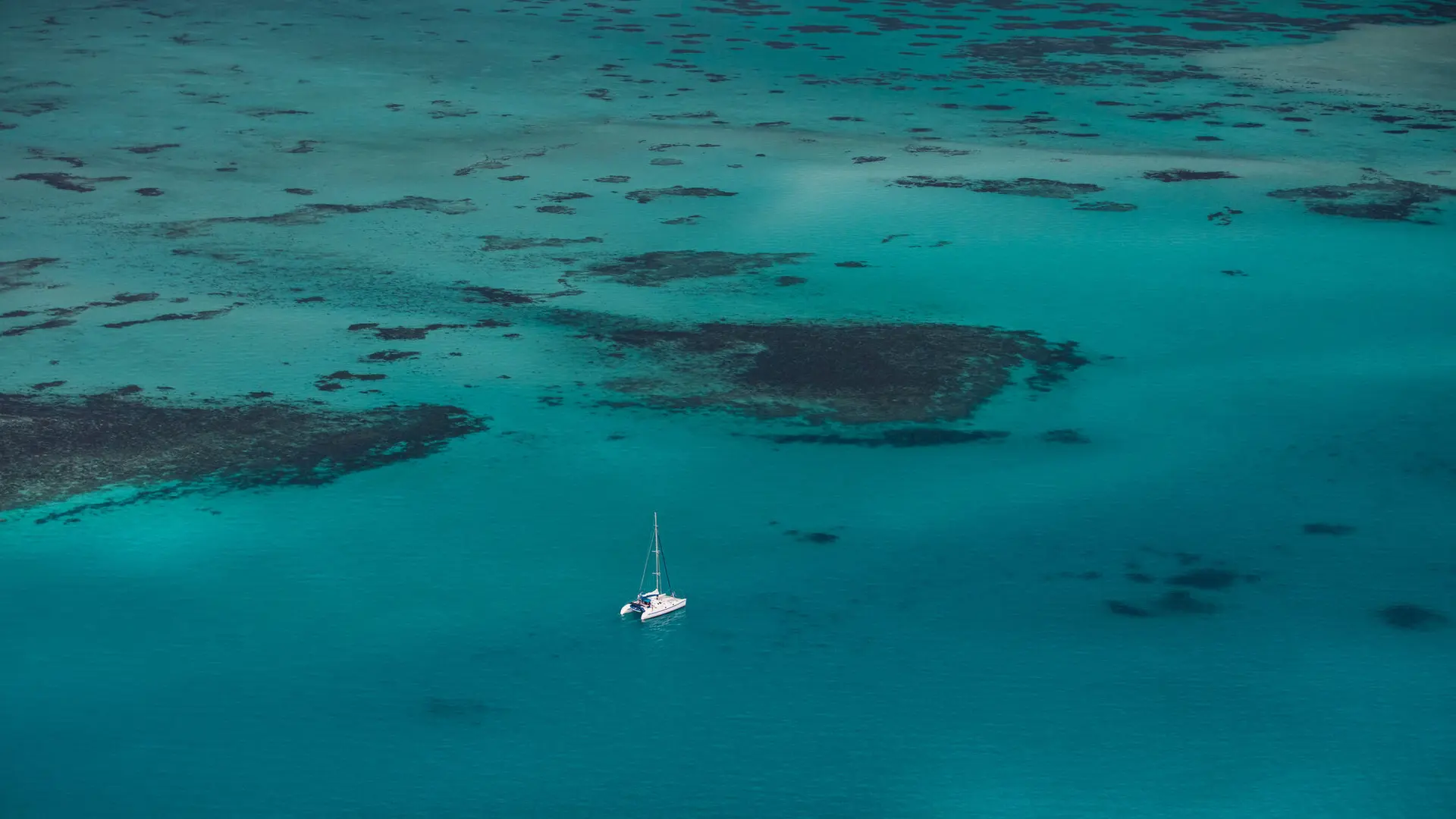 Catamaran cruise on the lagoon of New Caledonia