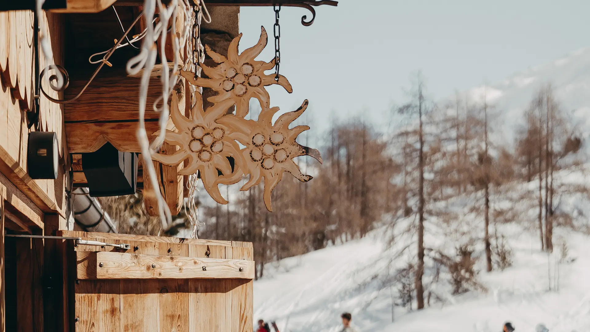 Edelweiss_Val-d'Isère