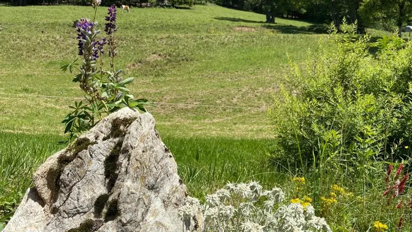 Près du chalet