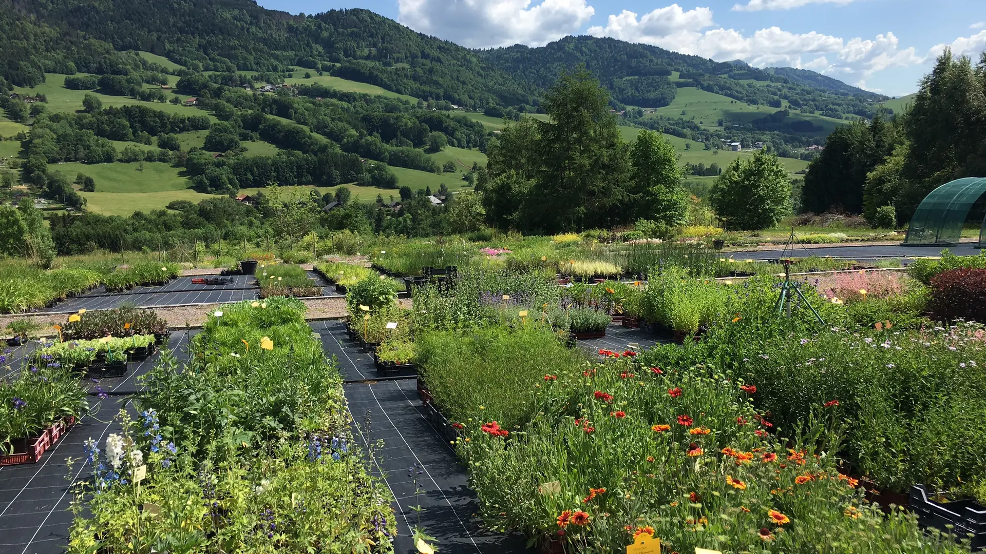jardins_de_montagne_haberelullin