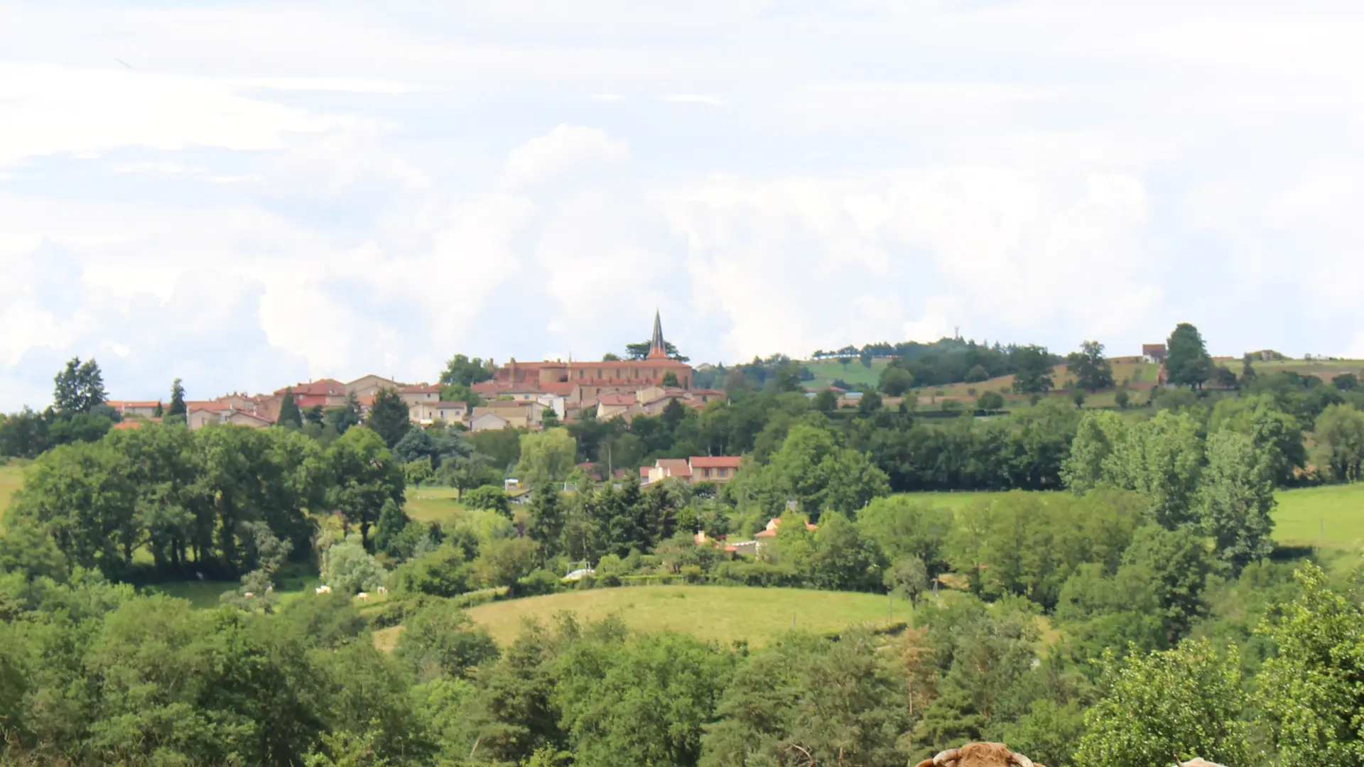 Vue panoramique sur les prairies