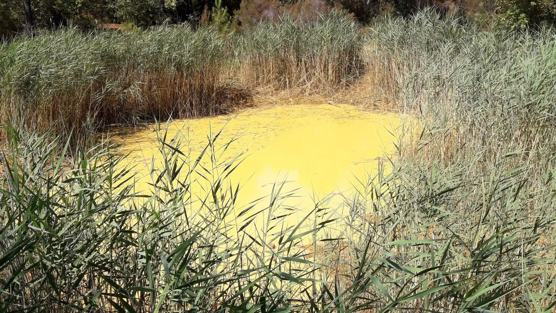 Mare du Trou des Américains