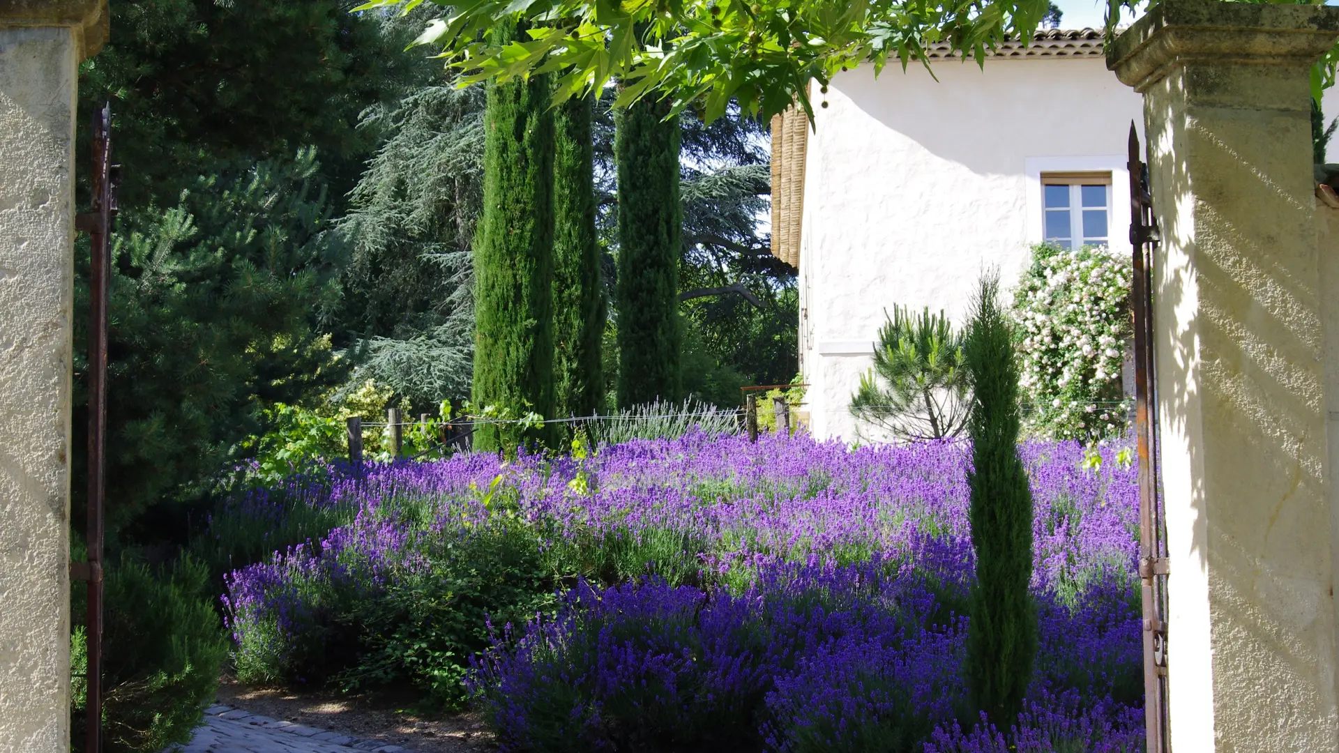 L' entrée de la propriété