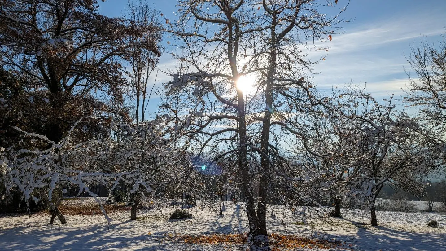 Le jardin endormi sous la neige