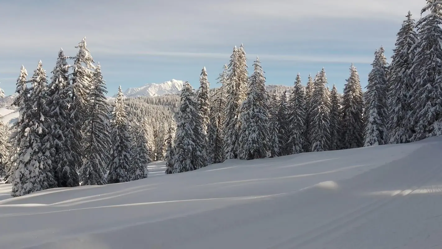 Vue du Mont-Blanc depuis les Saisies (ski de fond)