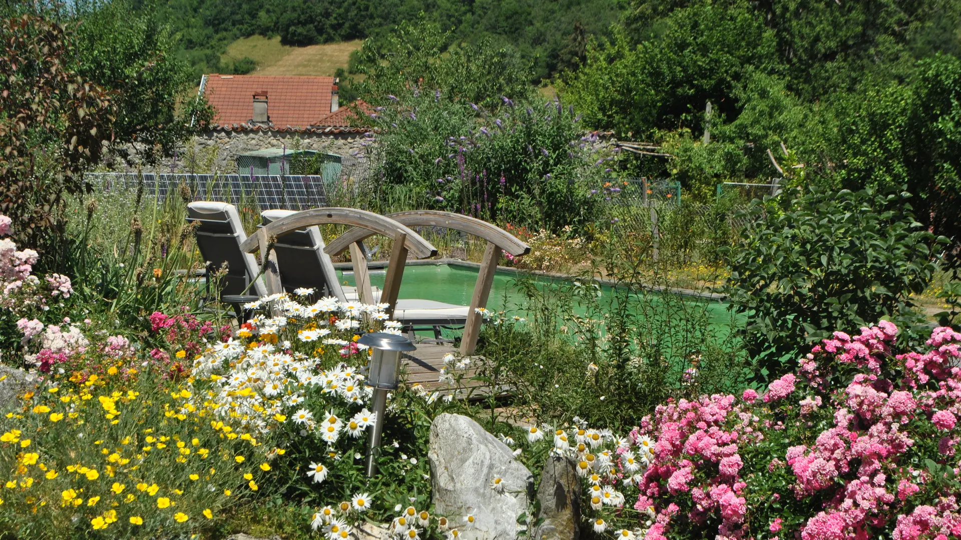 Vue sur la piscine naturelle et écologique de la chambre d'hôtes avec au premier plan un petit massif fleuri et un petit pont de bois