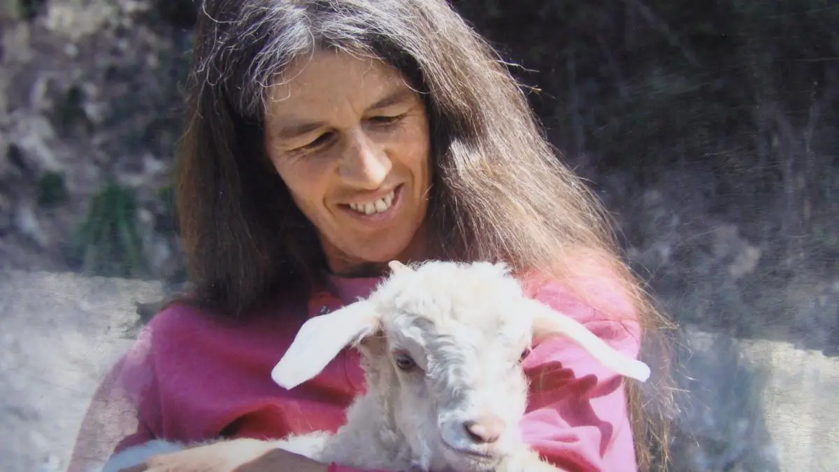 Le Mohair en arc-en-ciel