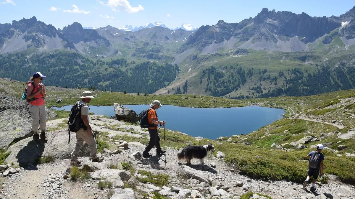 stage botanique flore alpine en Clarée