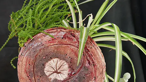 Atelier Terres de Tamaris - Vase rond