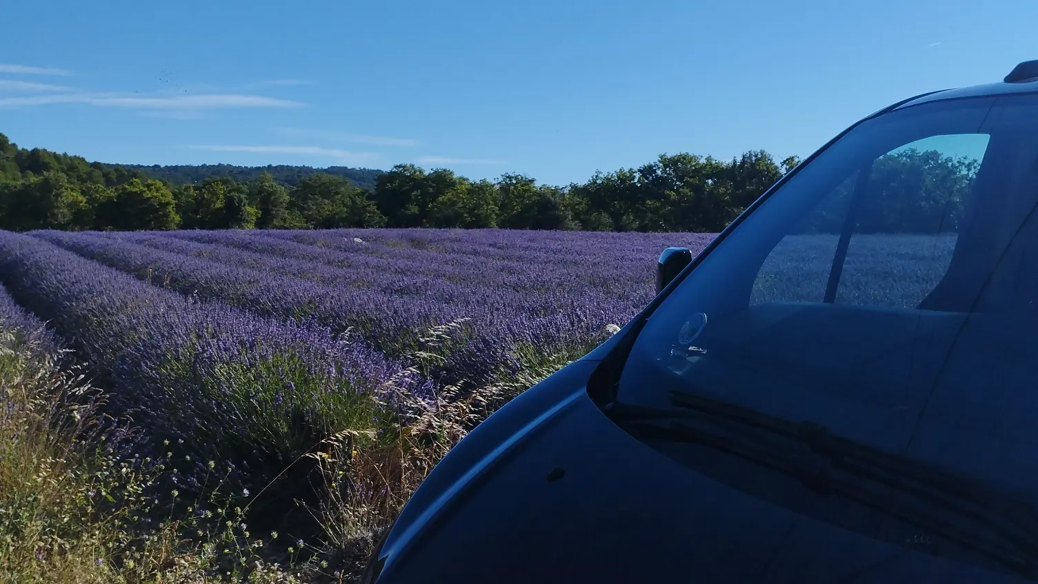 Circuit des lavandes