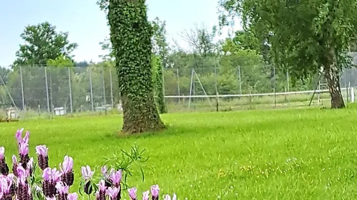 vue sur le tennis