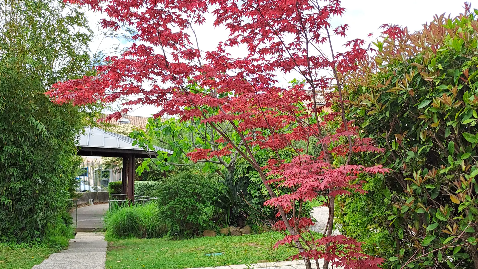 Jardin Pagès_La Farlède