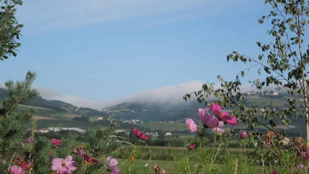 Monts du Lyonnais (vue du jardin).
