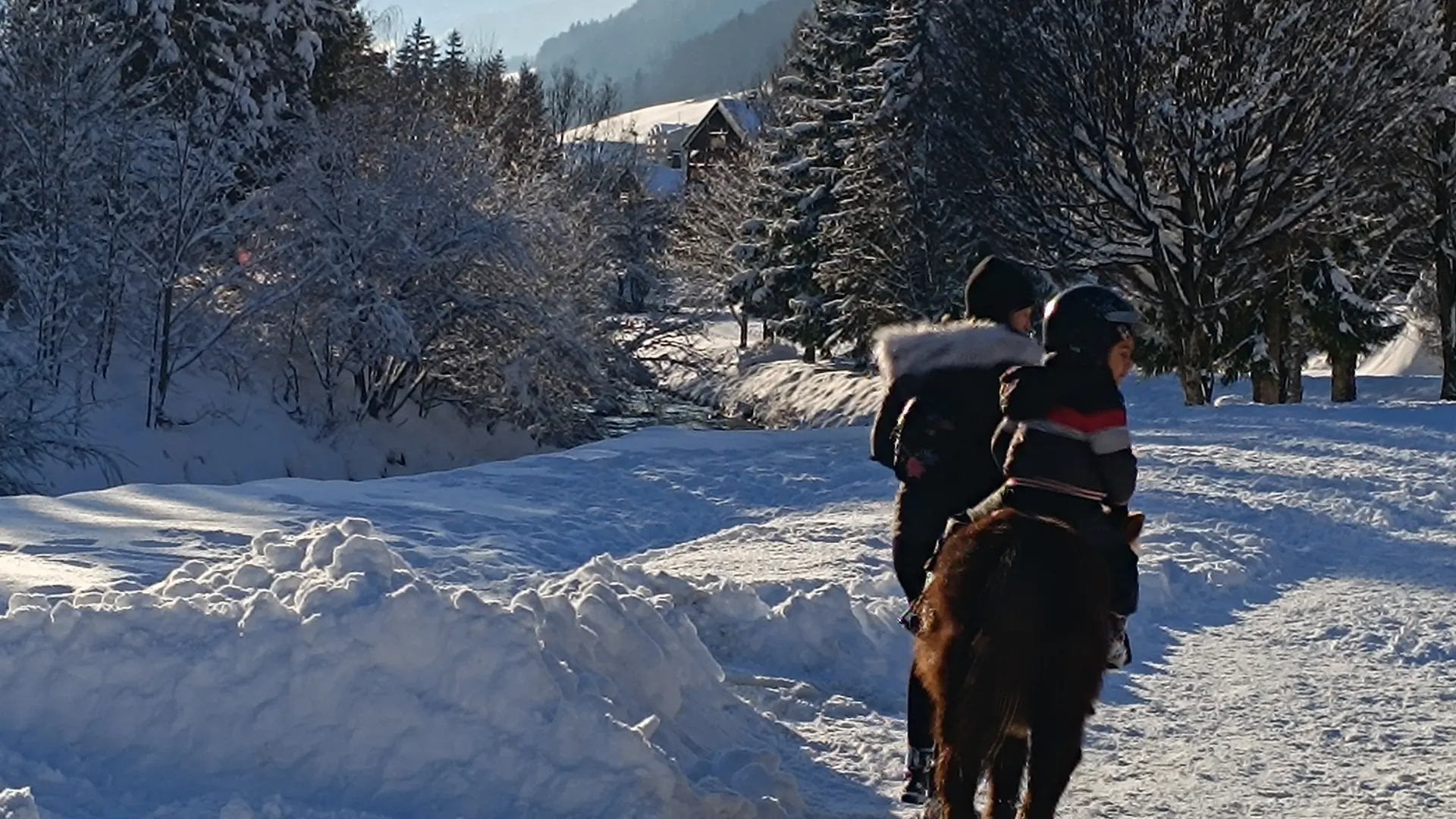 groupe d'enfant à dos de poney