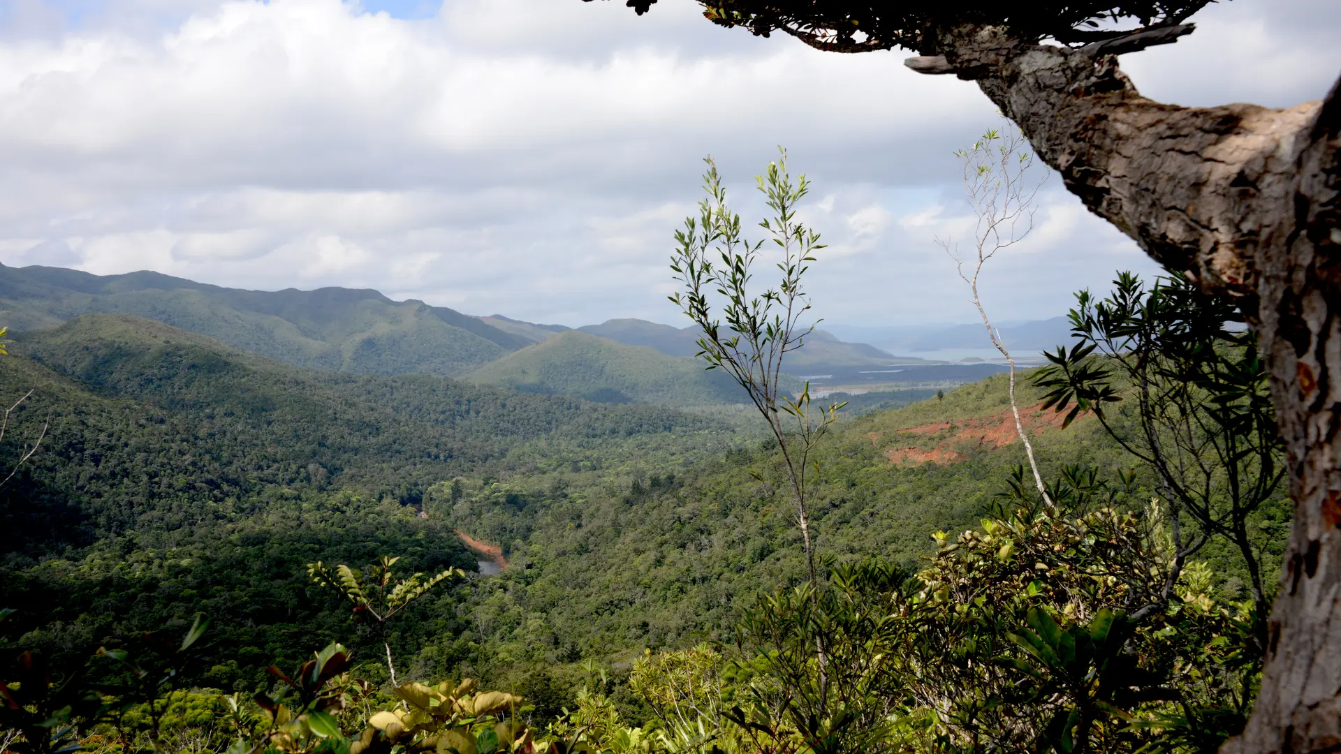 Point de vue vers la vallée de la rivière Bleue
