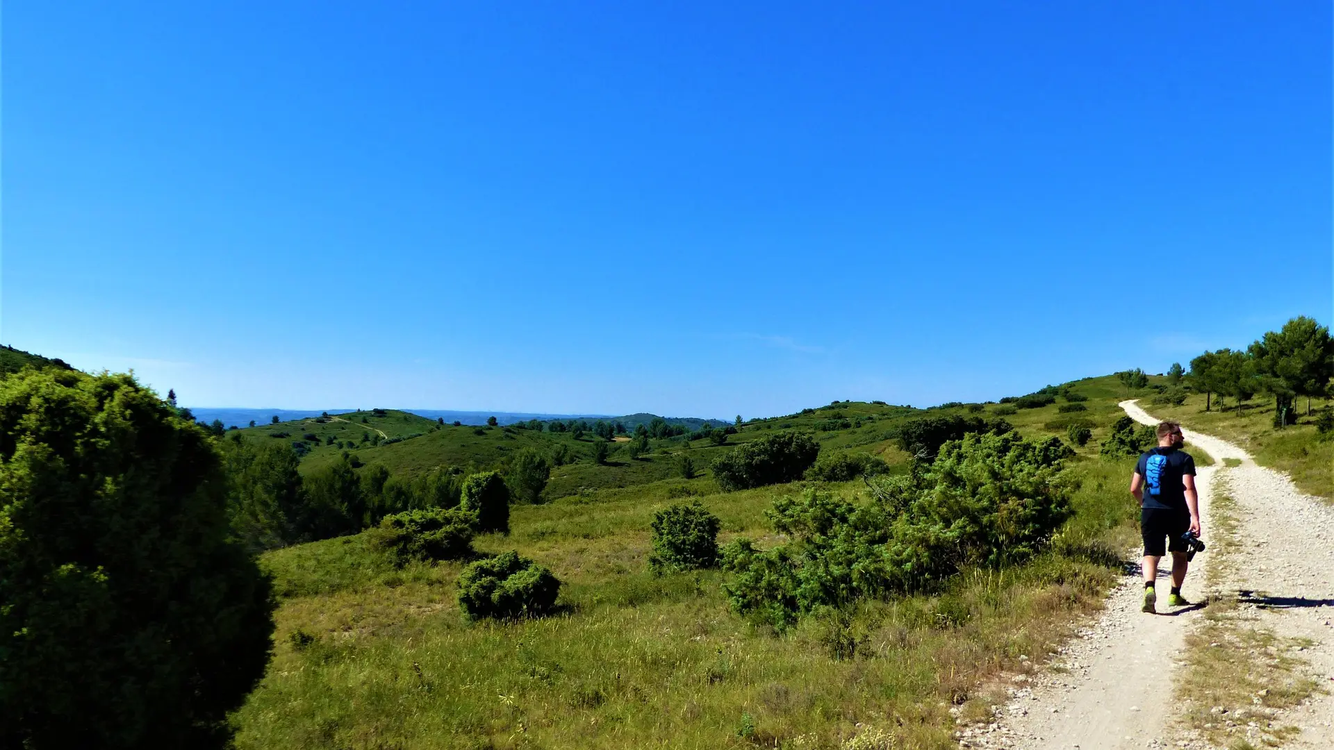 Paysage de la Montagnette
