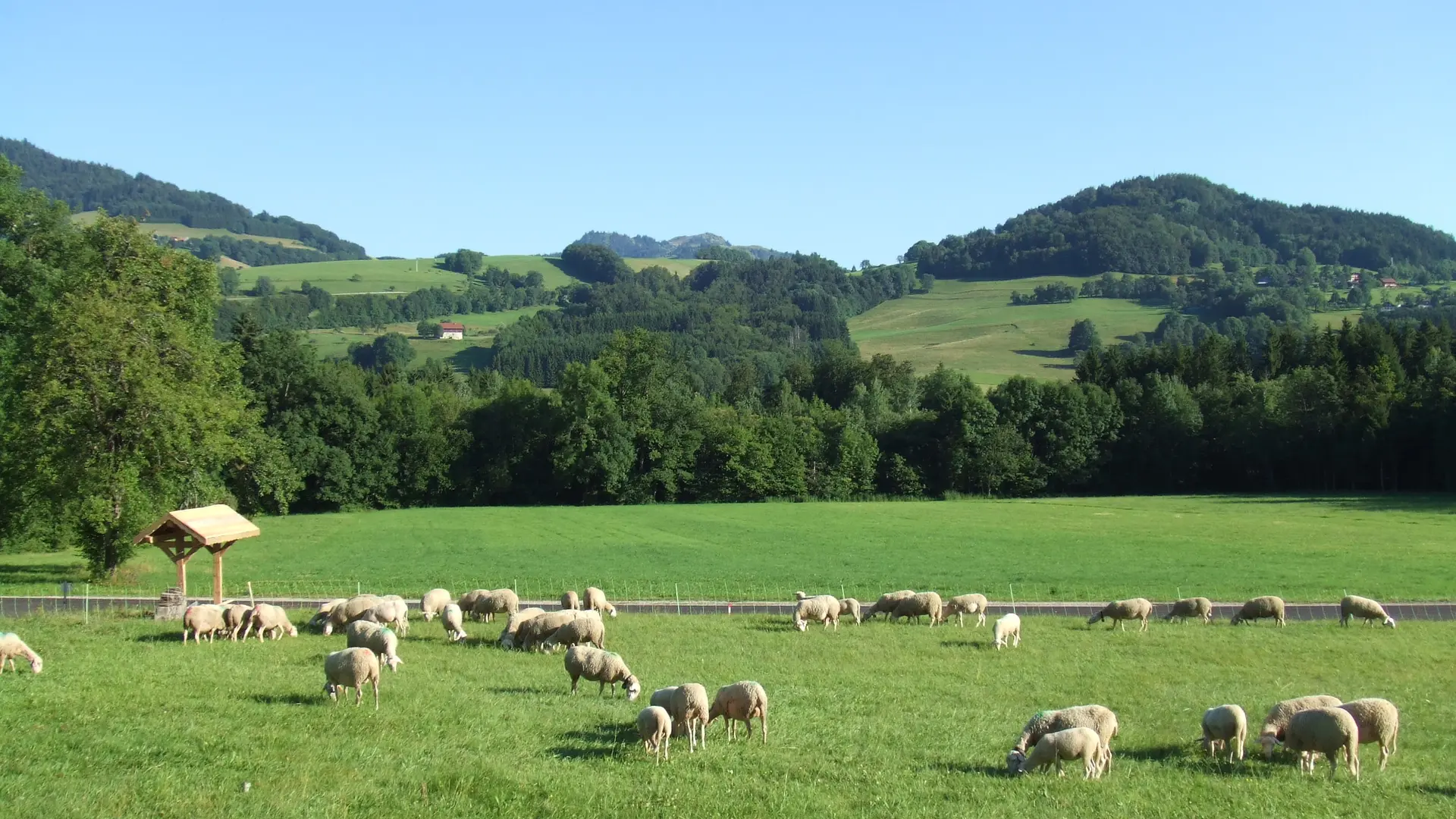la_bergerie_des_roches