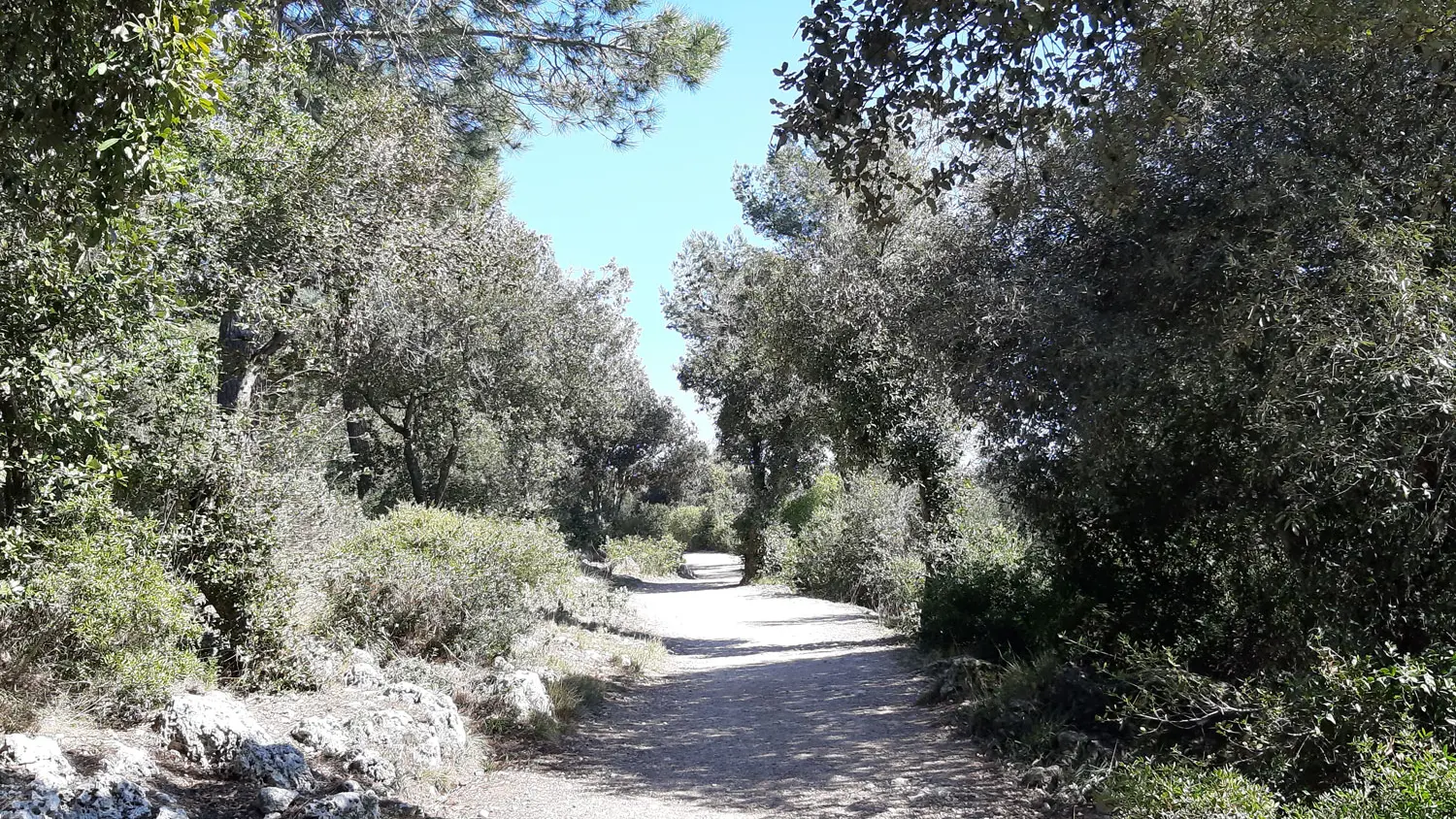 Plateau de la Justice - Sentier