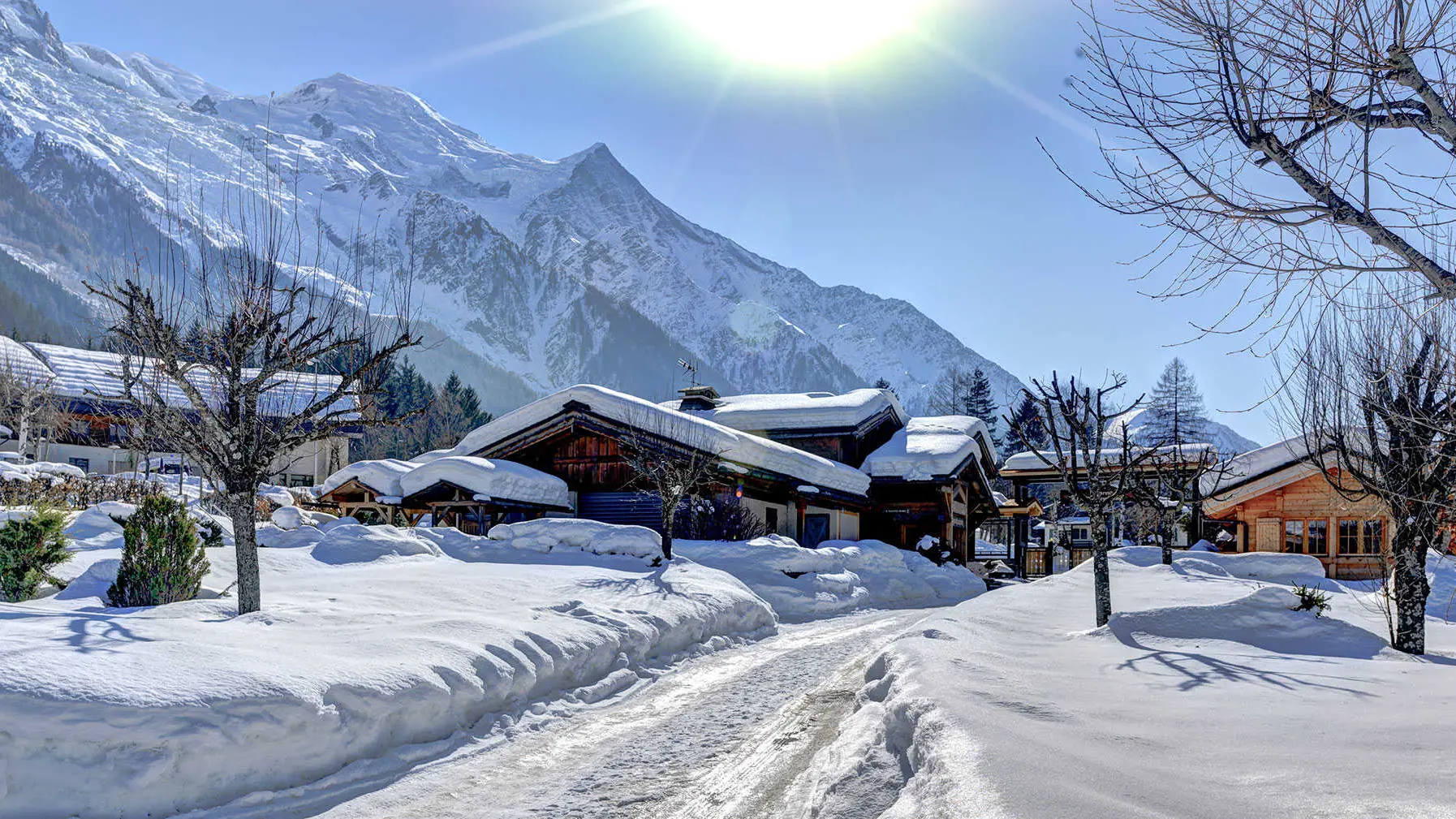 Vue sur le parc depuis le chalet