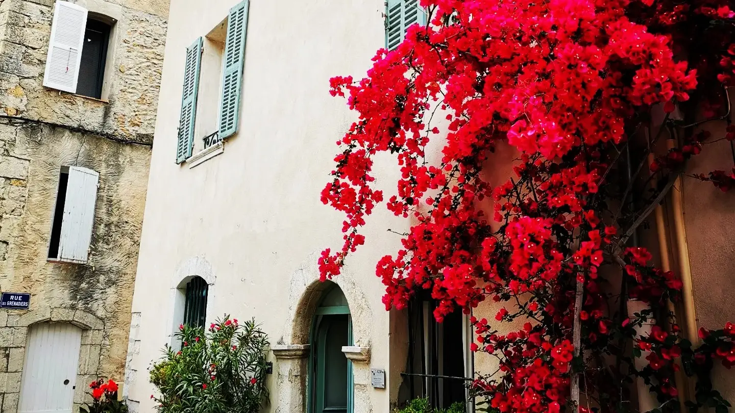 Façade and bougainvillea