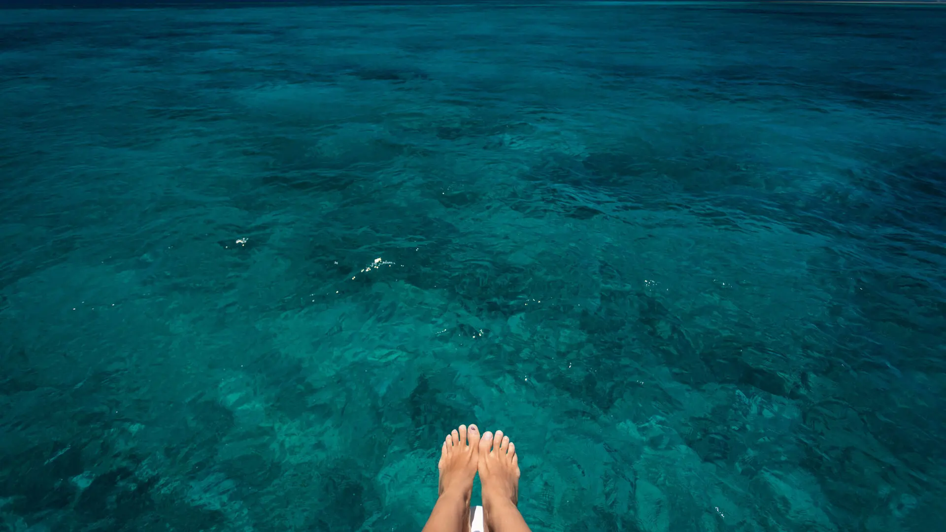 Catamaran cruise on the lagoon of New Caledonia