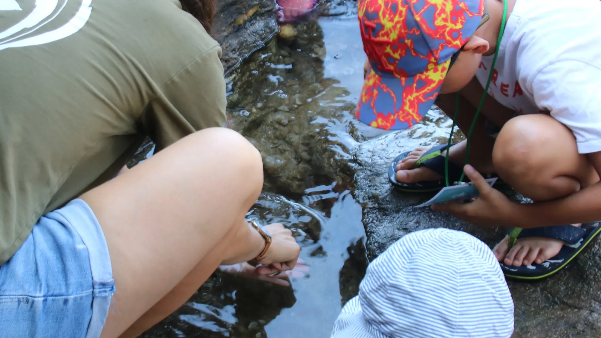 Activité enfant Les pieds dans l'eau_Rayol-Canadel sur Mer