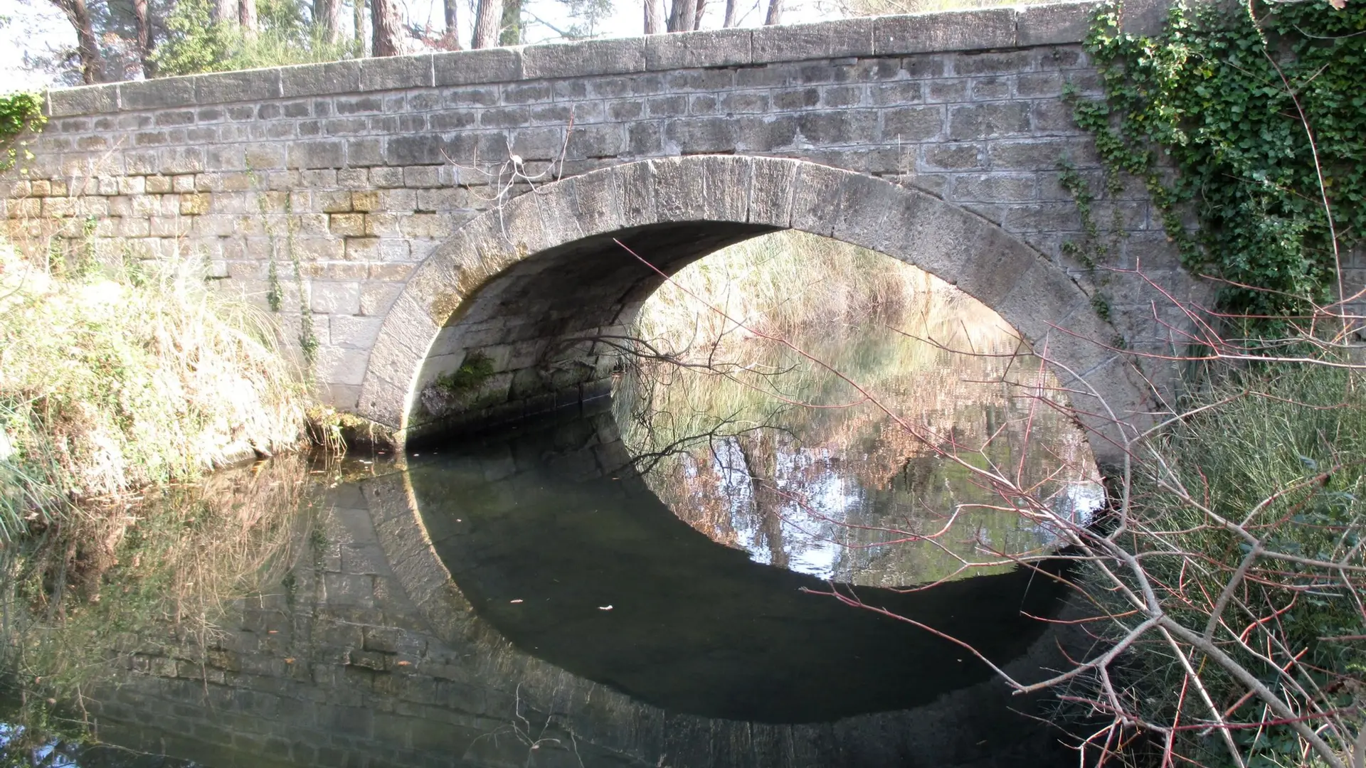 Pont sur le Vieux canal