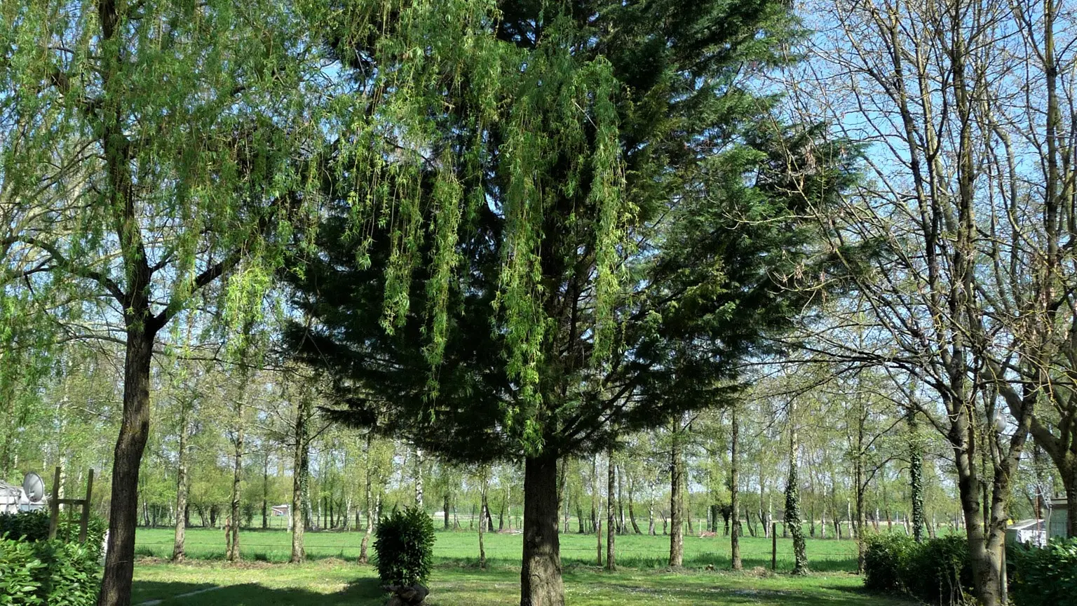 Espace vert