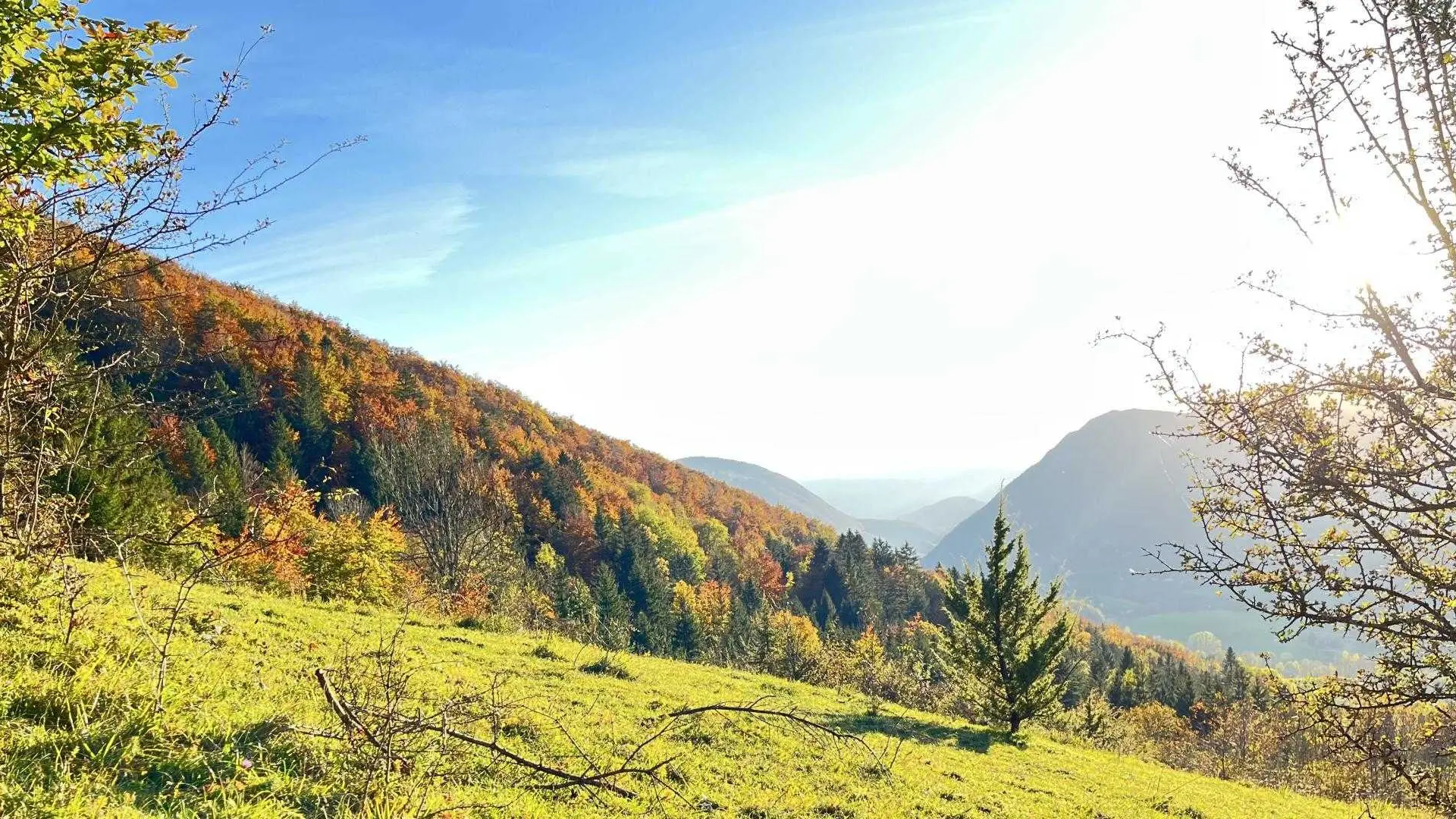 Balade d'automne