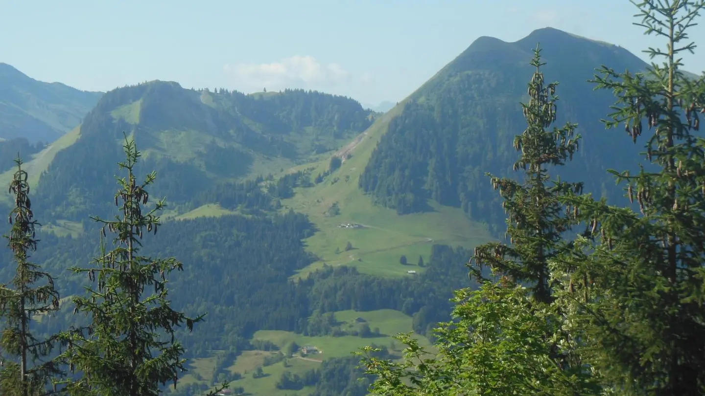 Peu importe la saison, la montagne est toujours belle